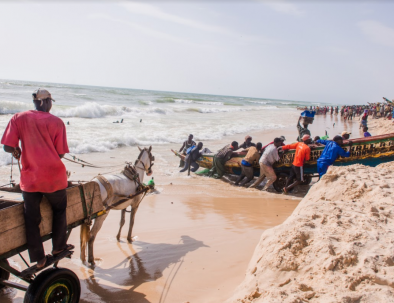 Uprise Travel | Senegal